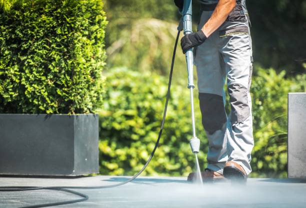 Boat and Dock Cleaning in Zapata, TX