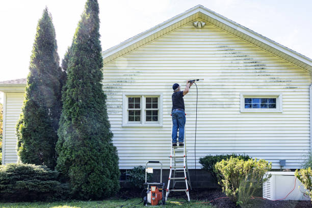 Best Roof Washing  in Zapata, TX